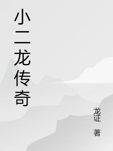 小二龙传奇