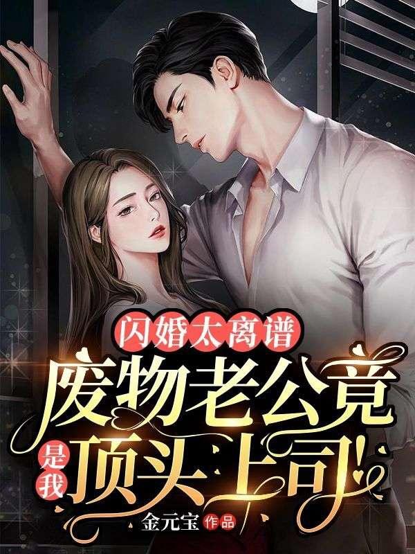 小说闪婚老公太抢手全文免费阅读