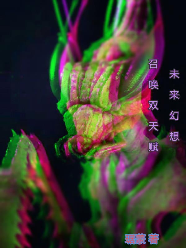 幻想未来专属