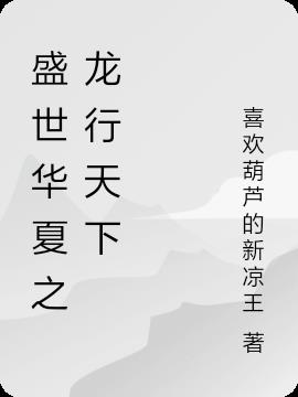 盛世华龙是做什么的