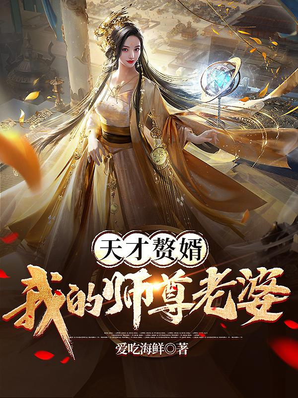 天才赘婿:我的师尊老婆小说