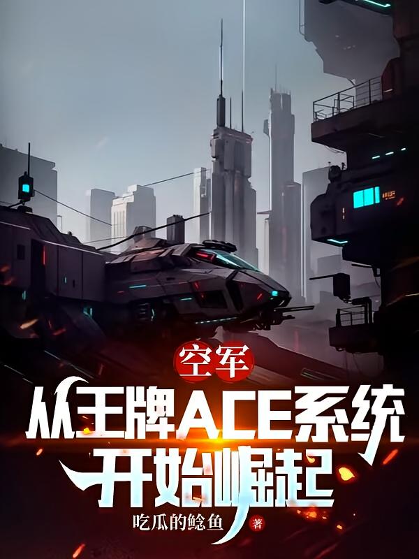 空军王牌ace开局一座全系