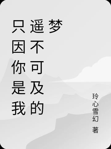 你是我一生遥不可及的梦