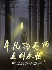 平凡的魔术师的小说